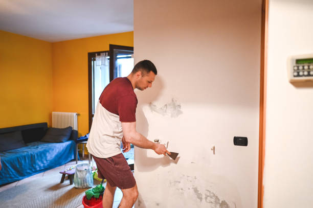 Best Home Mold Removal  in Lake Orion, MI